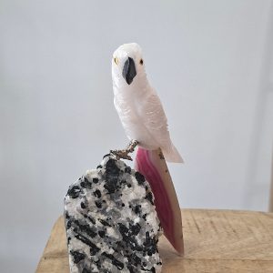 Oiseau exotique base tourmaline