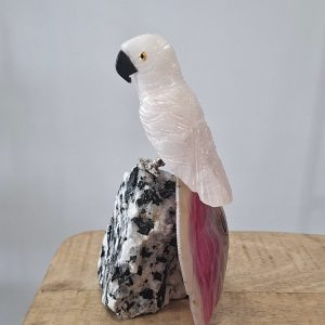 Alternative view of Oiseau exotique base tourmaline